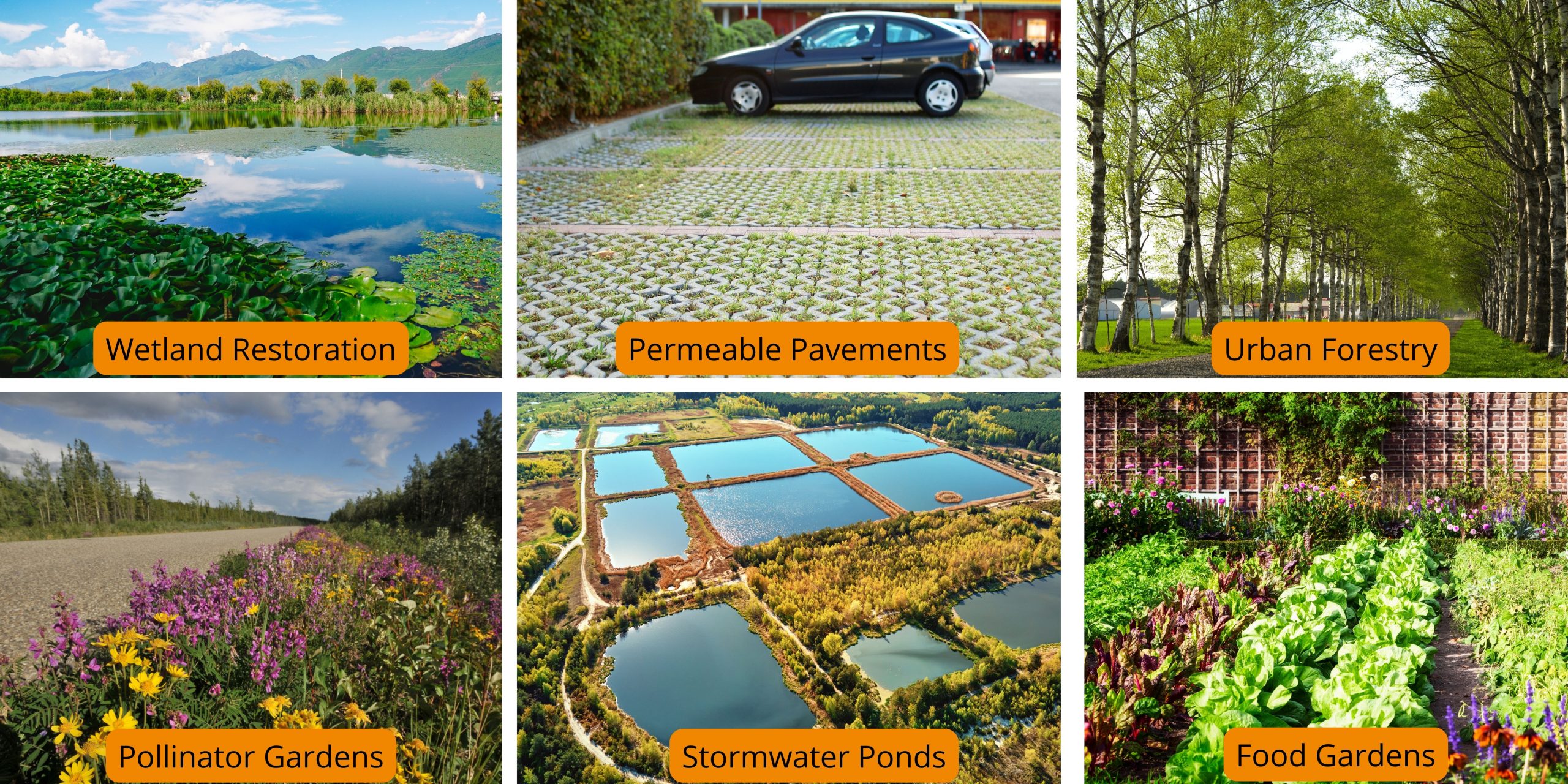 Implementation of Nature-based Solutions by Municipalities to Advance ...